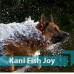 Quicker Kani Fish Joy (10 кг)